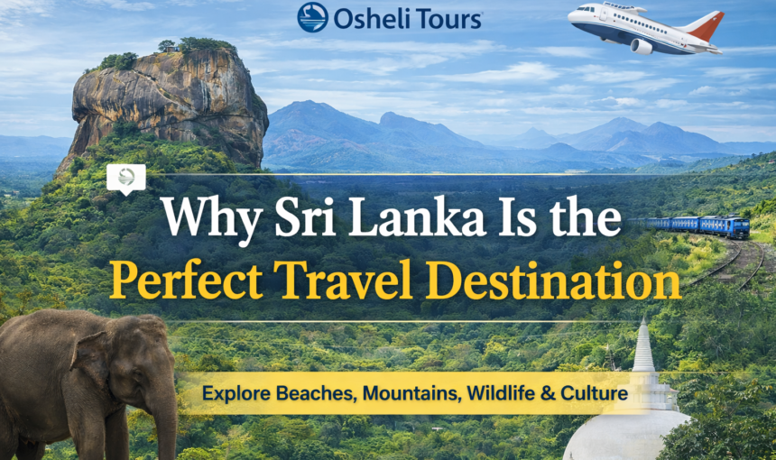 Why Sri Lanka Is the Perfect Travel Destination