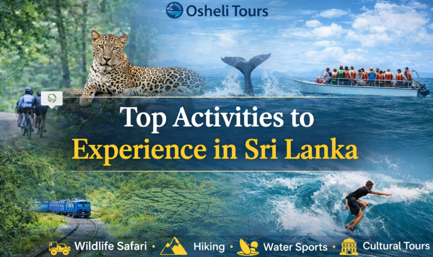 Top Activities to Experience in Sri Lanka